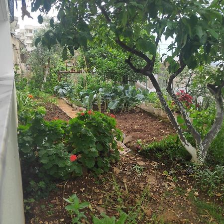 Zani Apartment Sarande Ngoại thất bức ảnh